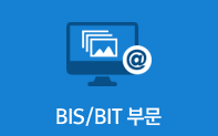 BIS/BIT 부문